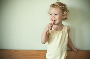Le blé biscuitier : une filière en devenir