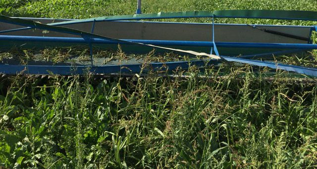 Désherbage alternatif : la solution écimeuse