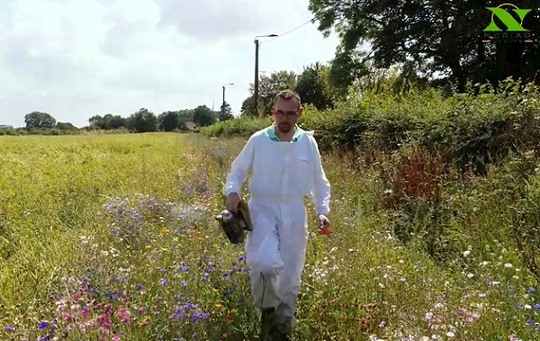 Apiculture – L’abeille, auxiliaire utile