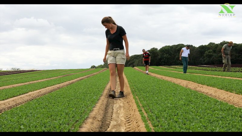 Agriculture biologique : Une conversion étape par étape