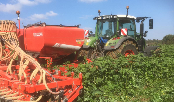 Mini guide de conversion à l’Agriculture de Conservation