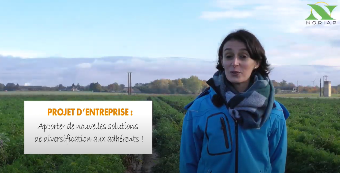 Carottes : une nouvelle piste de diversification !