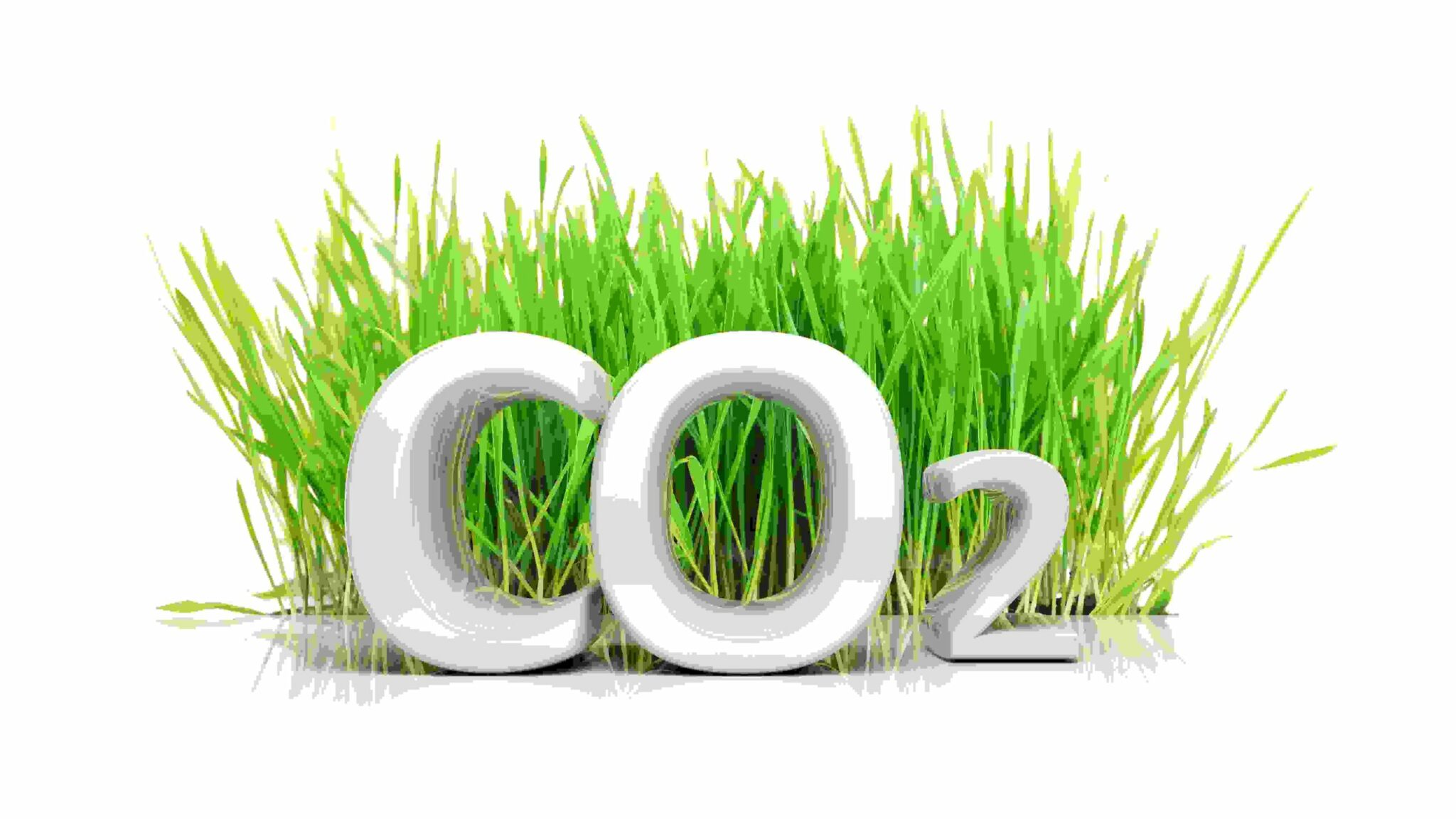 Co2 Carbone Noriap