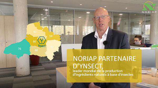 Noriap, partenaire d’Ynsect