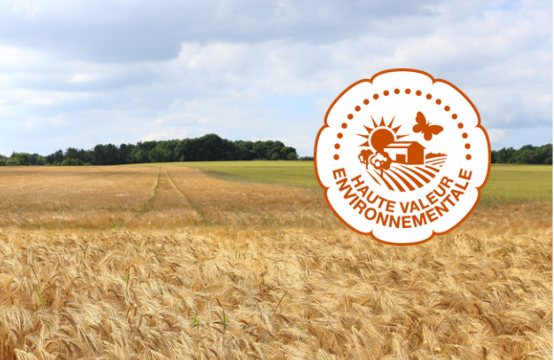 Les clés pour réussir sa certification HVE