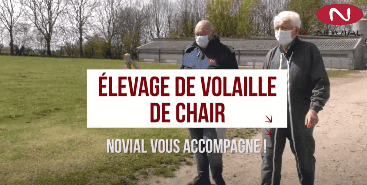 Volaille de chair : Novial, votre partenaire projet !
