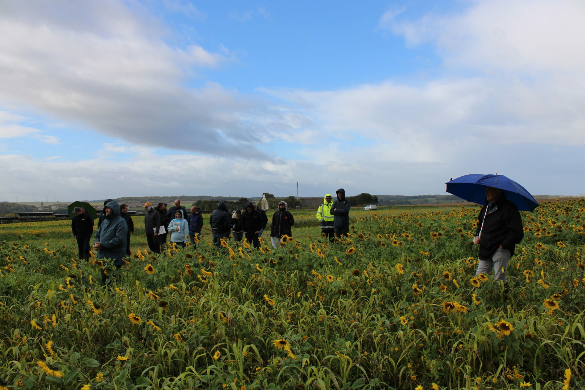 Biogaz : Maximiser sa production avec les Cive