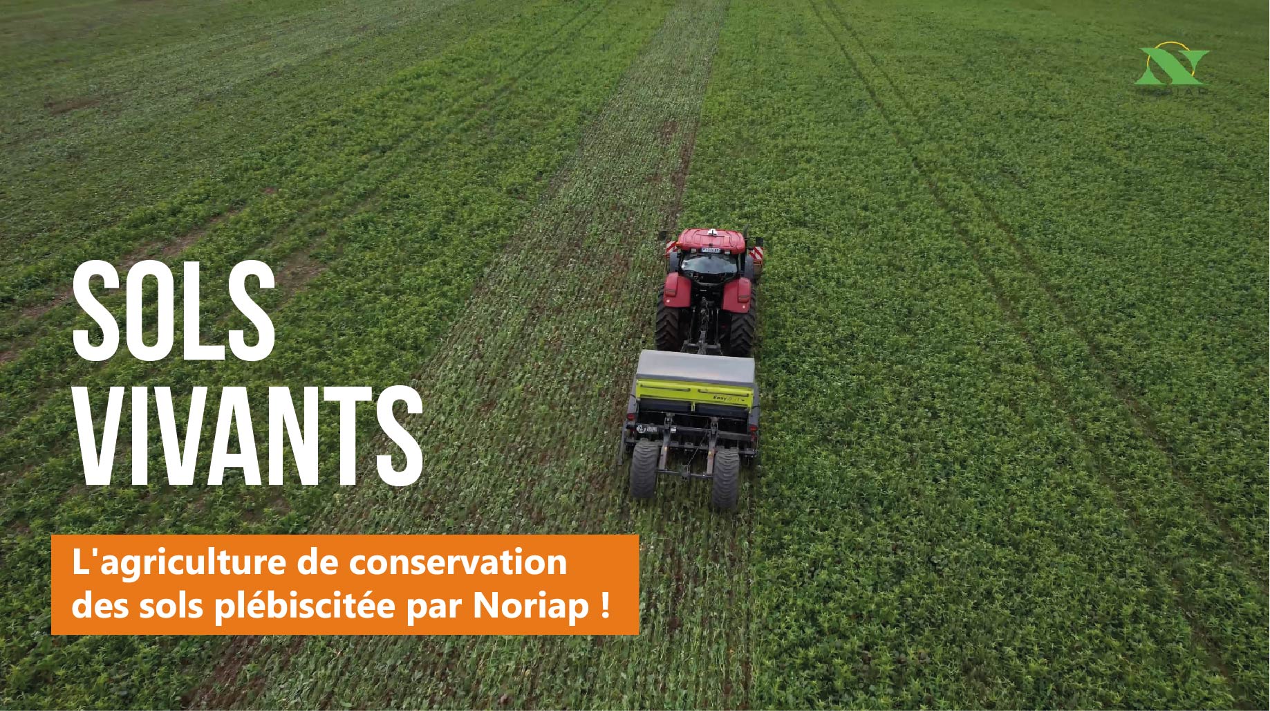 L’agriculture de conservation des sols plébiscitée par Noriap