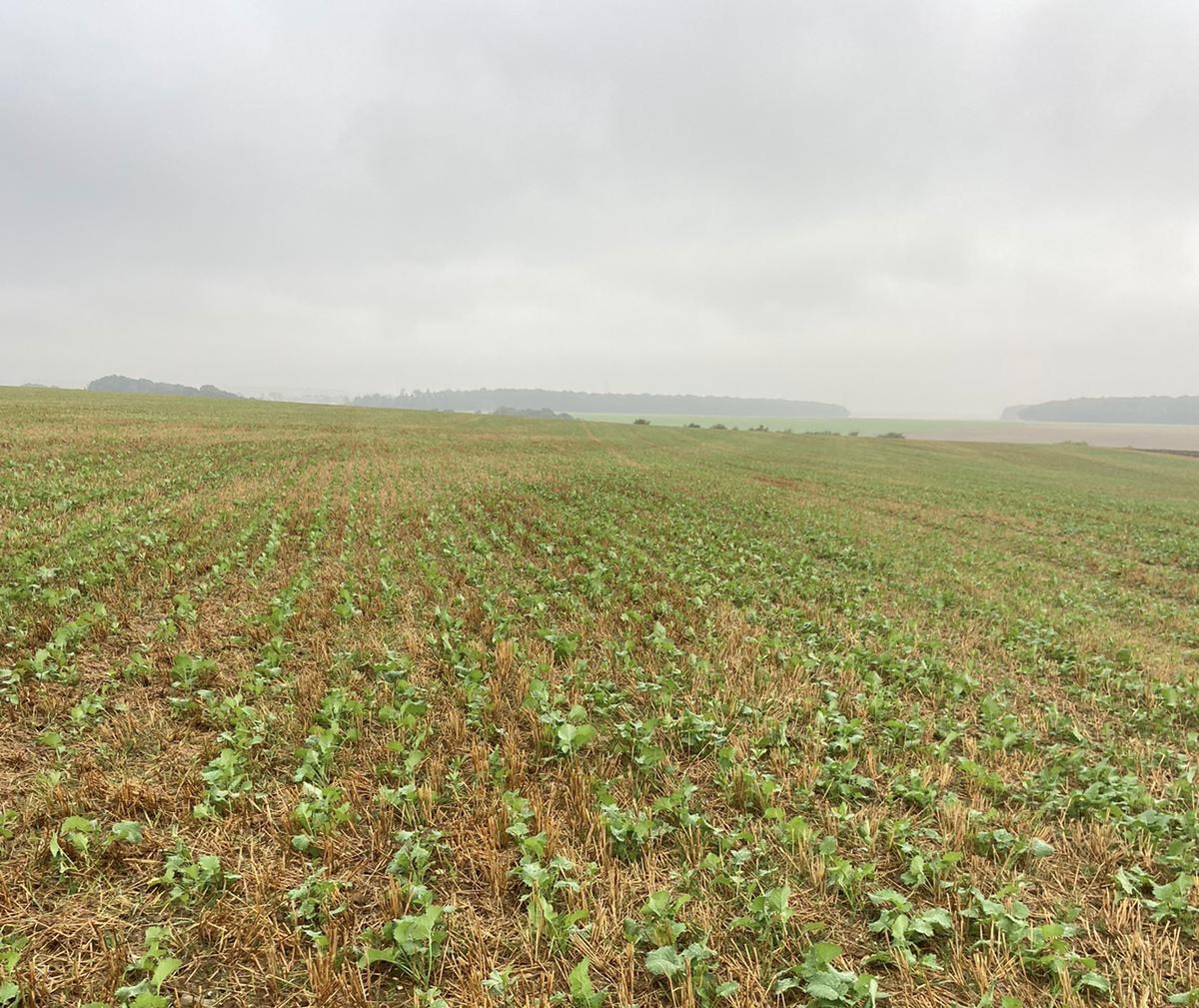 424065bc-17ab-4156-ab7b-ace49b811e4d