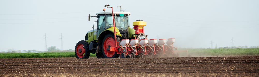 Les semis avec travail réduit du sol au printemps