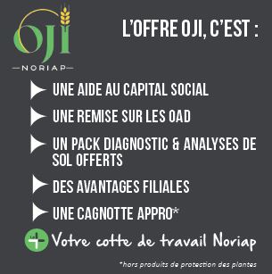 Détail de l'offre OJI