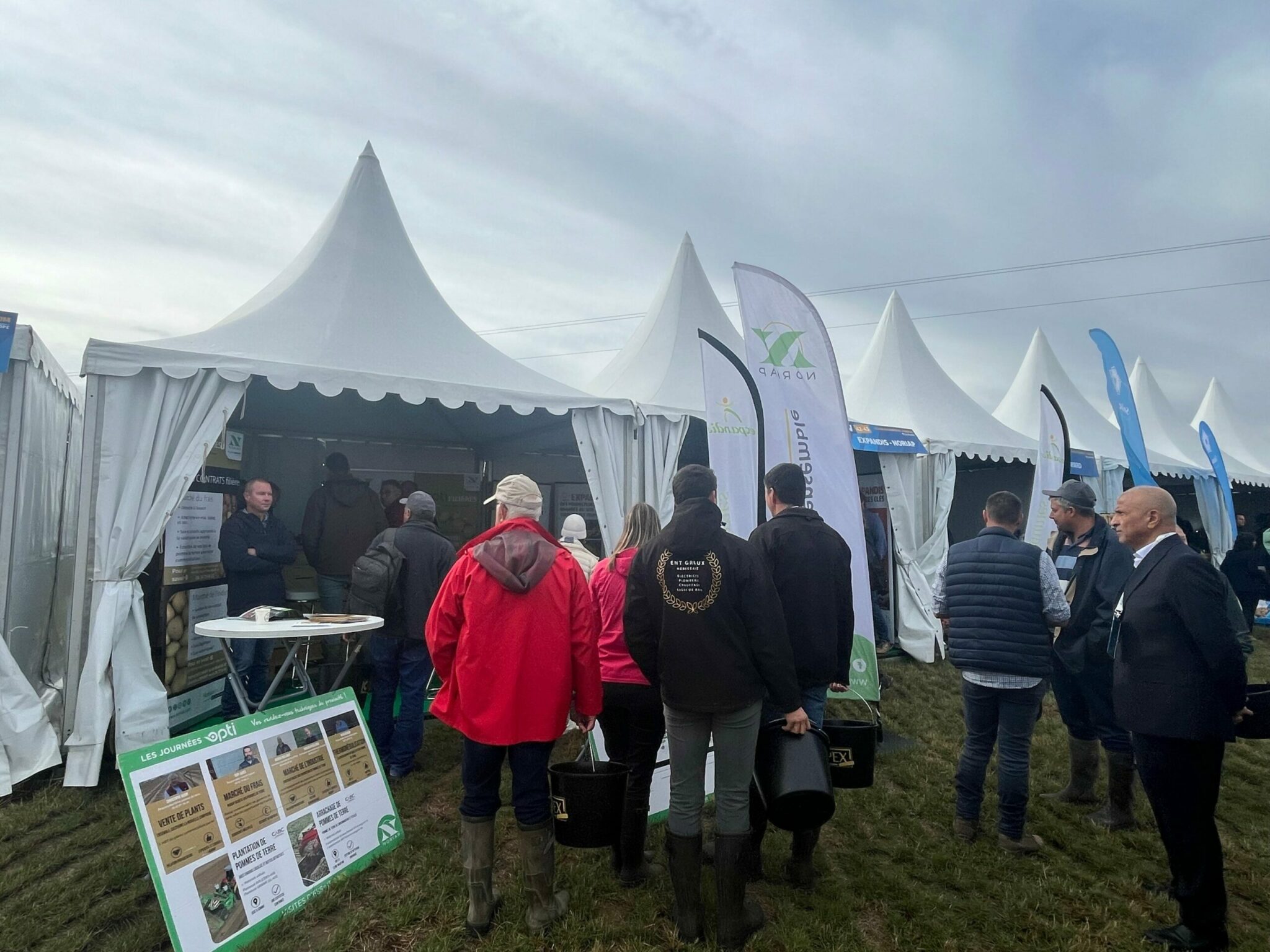 Pomme de terre : Noriap et Somat présents à Potato Europe 2024