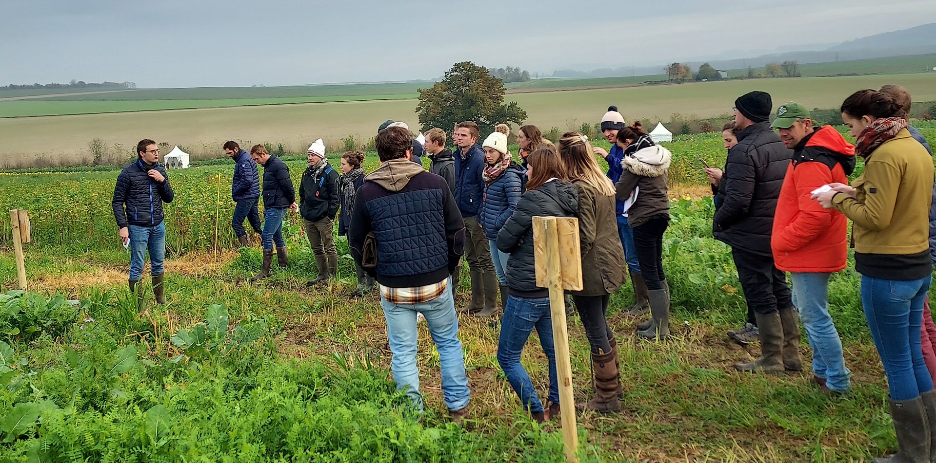 Journée technique Sols Vivants : l’importance des couverts végétaux