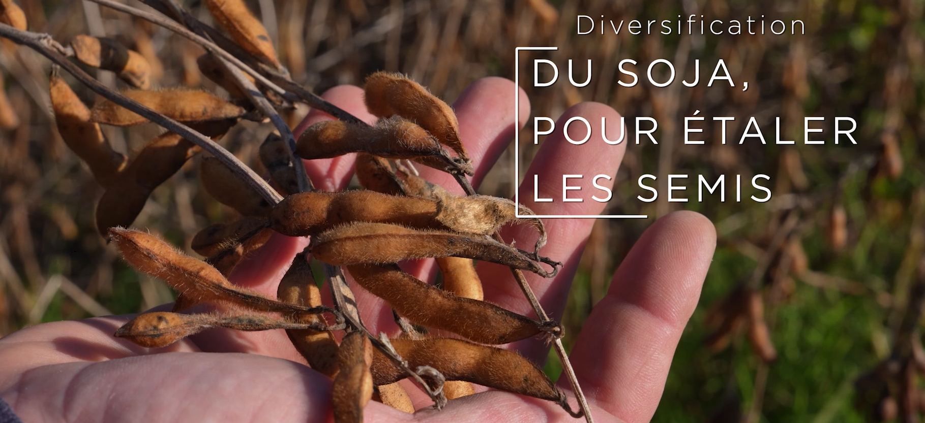 Diversification des productions des adhérents Noriap