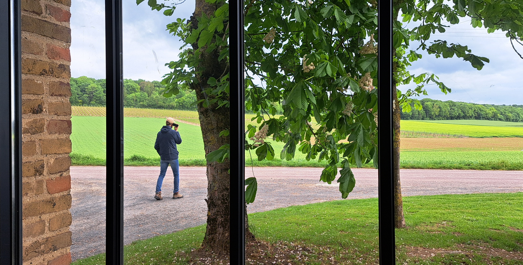 degustation avec avec vue