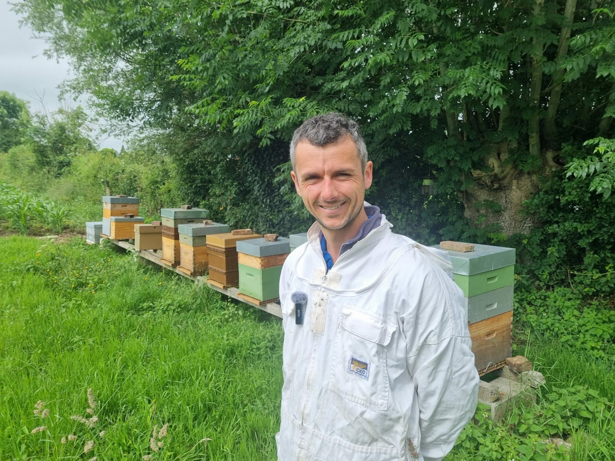 Antoine Beauval : futur installé entre cultures, élevage et abeilles
