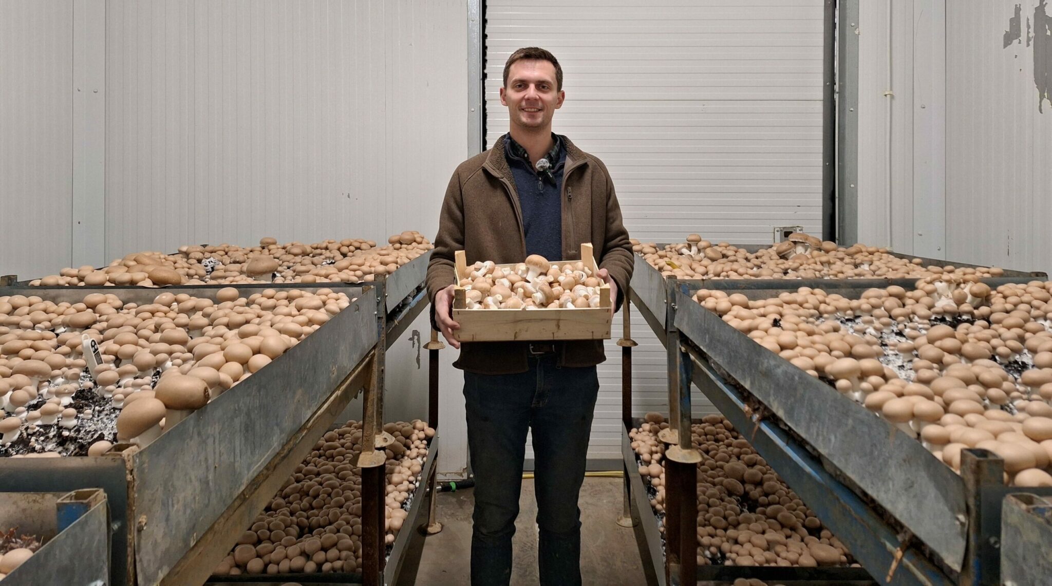Le champignon, une voie pour se diversifier