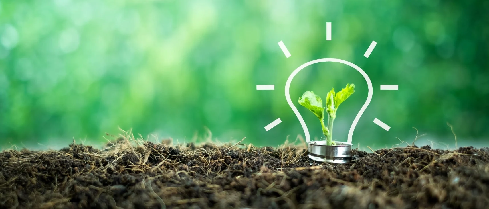 Construire une agriculture durable : les engagements RSE concrets du groupe Noriap