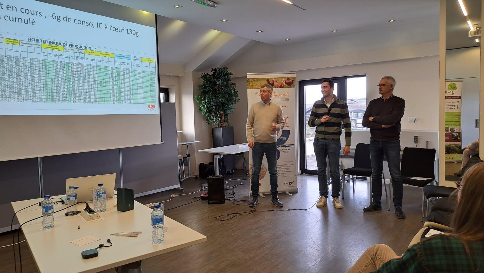 Chrononutrition : l’expertise Novial pour les élevages de pondeuses