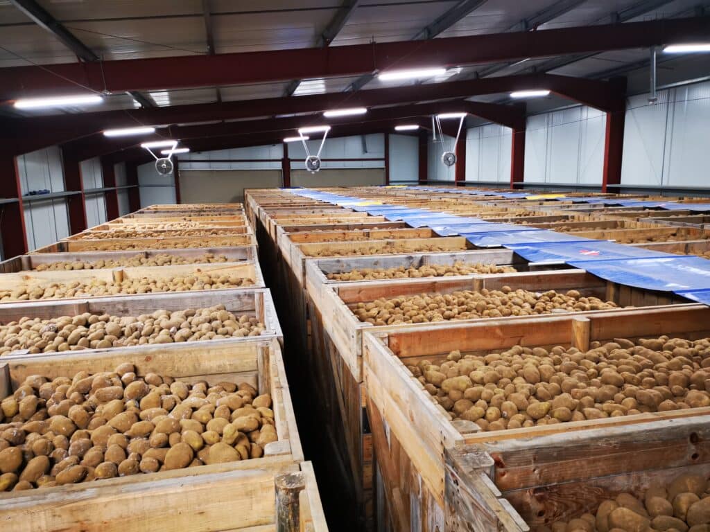 contrats filieres pommes de terre