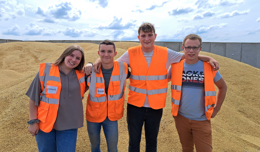 Saisonniers bois bleu