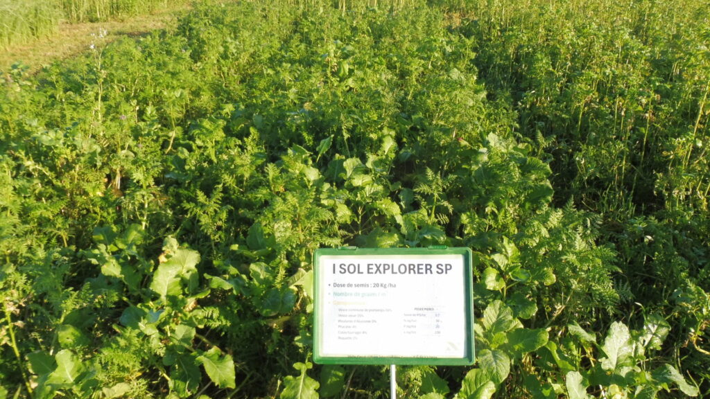 I Sol Explorer, mélange à la gamme Noriap
